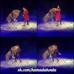 , ����� ������