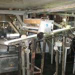 , ����� ������