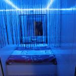 , ����� ������