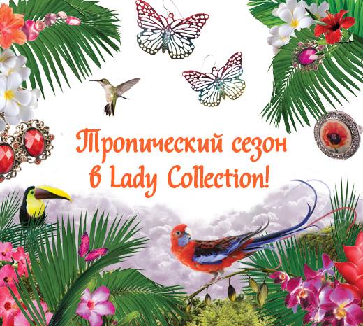      Lady Collection 