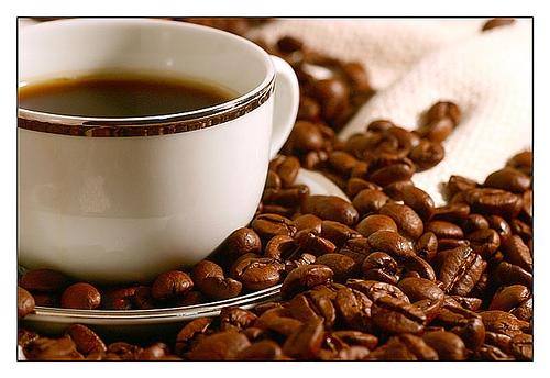  "Coffee Bean"     