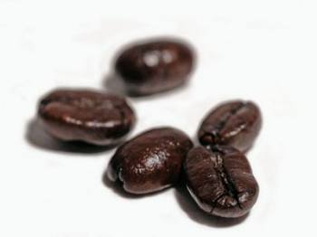   Coffee Bean    20% . 