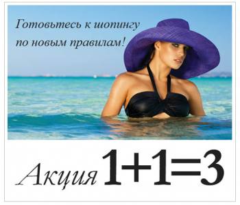  "1+1=3". 
