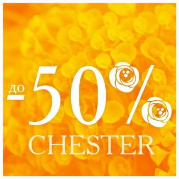 SALE 50%  "CHESTER"! 