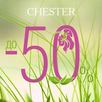 SALE 50%  CHESTER 