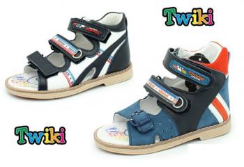   ""    TWIKI 