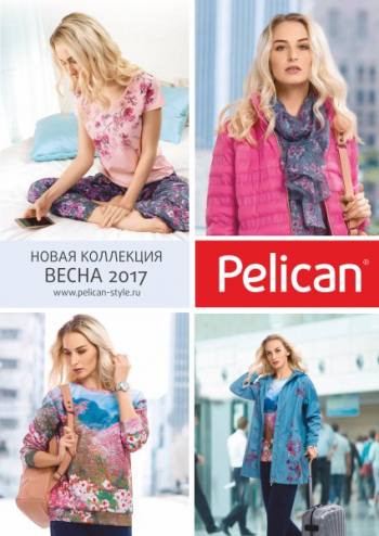    Pelican 