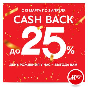   25%      