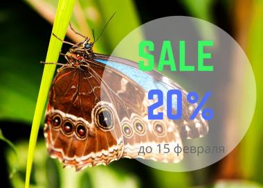 ������ ����� ����������� ������� ������