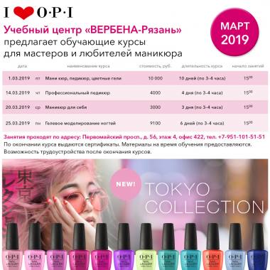 ������� ����� "�������-������" ���������� ������� �� ���� ������