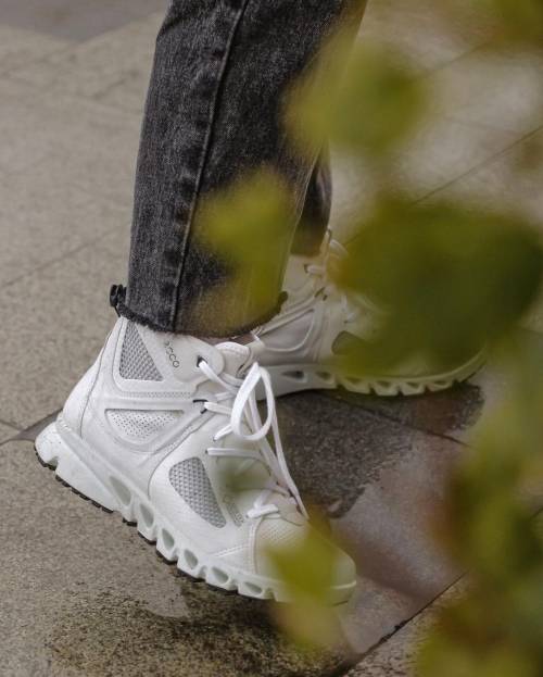 ����� ��������� ������