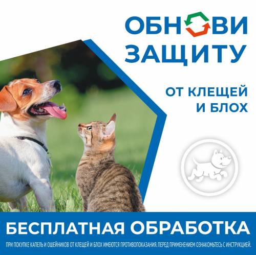 ����� � �������� "4 ����" ������