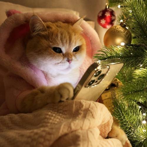 ���������� ����� � ����������� ������� ����� ������