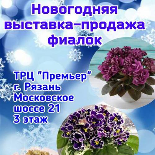 ���������� �������� ������ ������