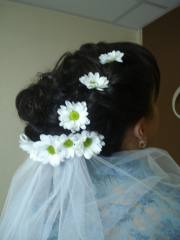 ������ ������� ����, ����� ������