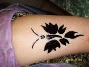 ���� ����, ����� ������