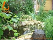 ����������� ������, ����� ������