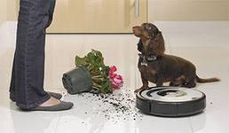 ������ �������� iRobot Roomba � iRobot Scooba - ������������ ������ ������ ���� � ��� ������ �������!