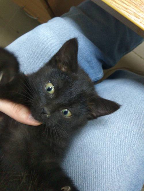 ������� ����� ���� ������� �����!, ����� ������